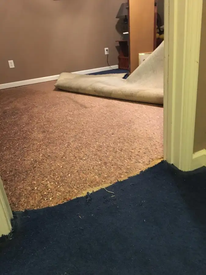 Carpet pad removal revealing water damage during Water Mitigation Services in Moorefield