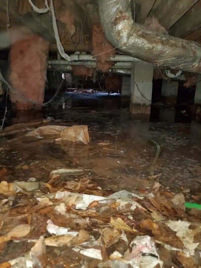 Crawl space flood assessment for Leak Detection & Repair in Moorefield