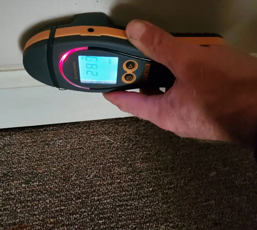 Moisture detection at baseboard during Sewage Cleanup & Sanitation in Moorefield